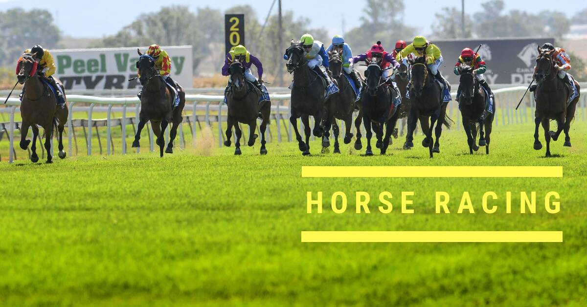 Moree races postponed after rain hits track