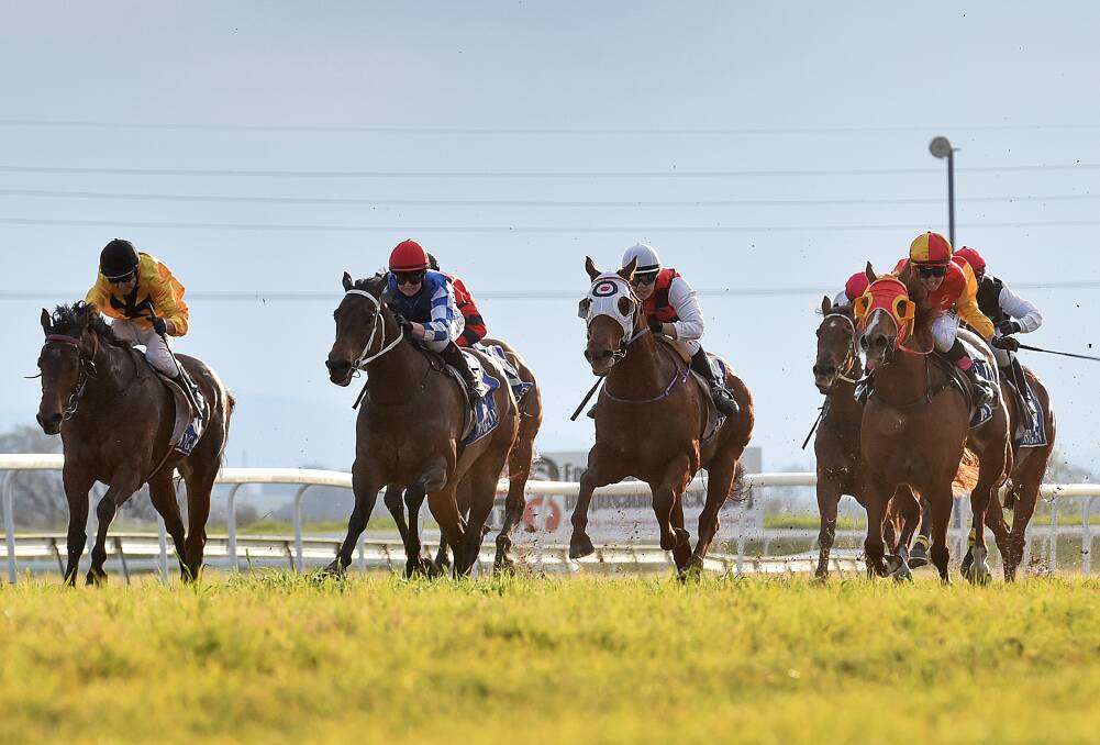 INSIDE RUN: Hammoon Boy (yellow and black colours) with Greg Ryan on board pulls away from the field to win the FSDP Tamworth Rush last year. 