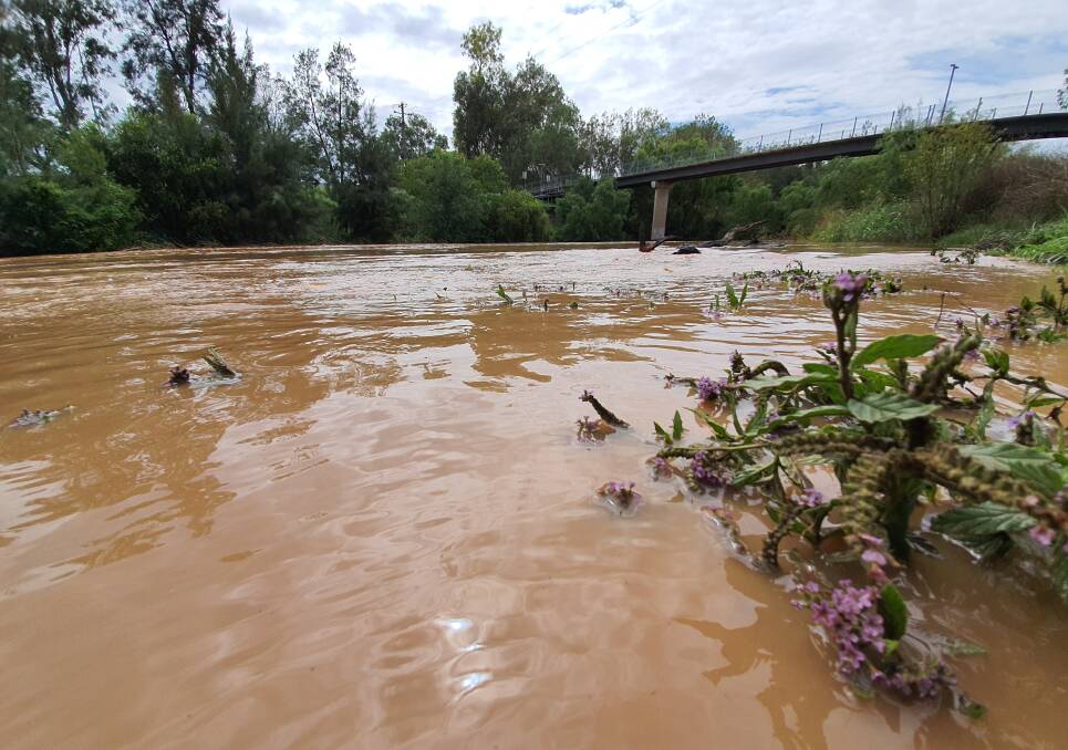 Check out the photos of the Peel River flowing with gusto through Tamworth after rain drenched the region in the first half of 2020. Photo: Ben Jaffrey