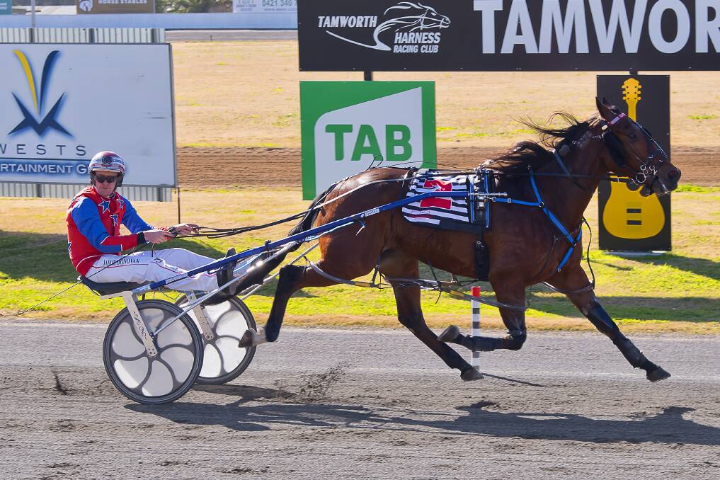 DEADLY DUO: Jamie Donovan and Rippin Good Feelin triumph at Tamworth last week. Photo: PeterMac Photography