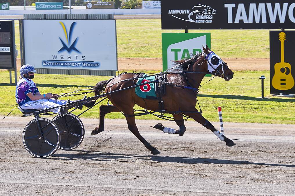 SPEED MACHINE: Runfromterror (Jemma Coney) trounces the opposition at Tamworth Paceway. Photo: PeterMac Photography