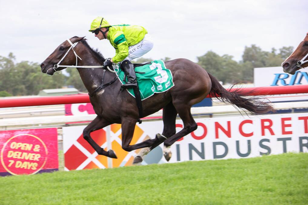 MAIDEN WIN: Billy Cray pilots Casino Lord to victory. Photo: Bradley Photographers