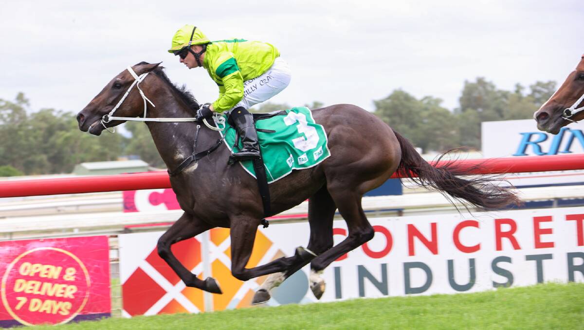 Casino Lord: Three gelding wins maiden at Tamworth | The Northern Daily Leader | Tamworth, NSW
