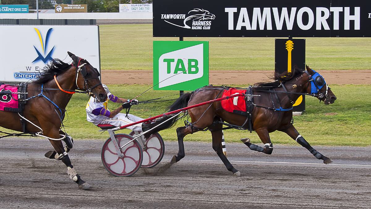 POWER FINISH: Listen To Lexy (Leigh Sutton) wins at Tamworth last week. Photo: PeterMac Photography