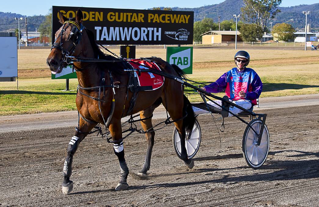 FORM COMBO: Attahua Ace and Scotty Jon Welsh after their Tamworth win last week. Photo: PeterMac Photography
