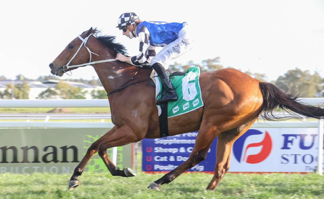 SPEED MERCHANT: Edit has finished a game fourth in The Kosciuszko. Photo: Bradley Photographers 