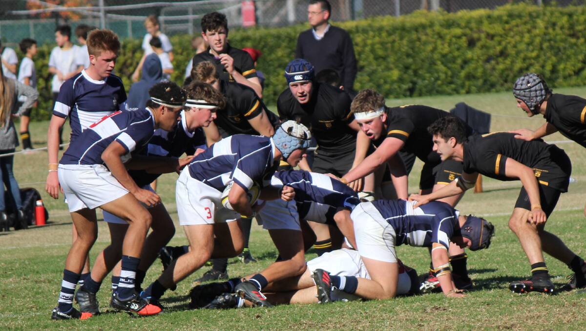 TAS RULES: The Armidale School's First XV and Sydney Grammar School's Firsts do battle. Photo: Supplied 