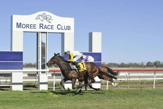 GIDDY UP: Moree Race Club will be back in action on Saturday. Photo: Bradley Photos.