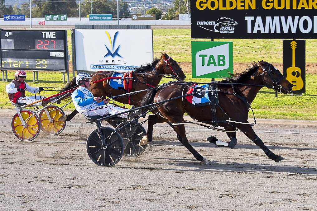 HIGH OCTANE: Ison steers Overthemoon to victory. Photo: PeterMac Photography