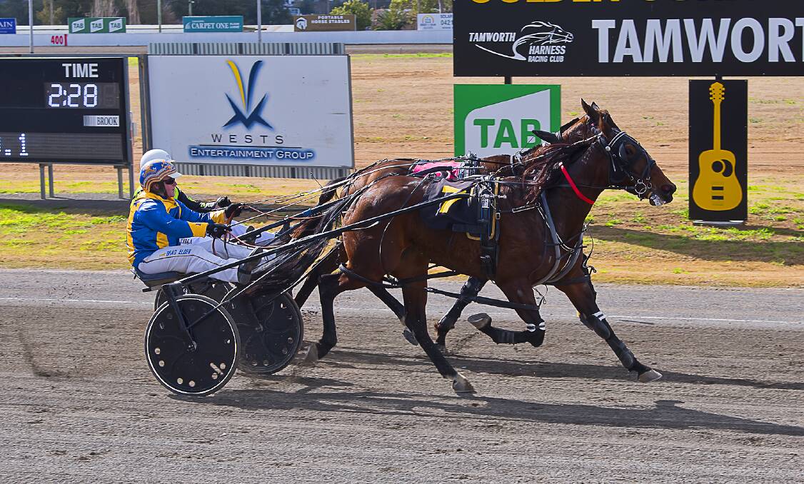 POWER OF TWO: White Wash and Brad Elder take out the first race at Tamworth on Thursday. Photo: PeterMac Photography