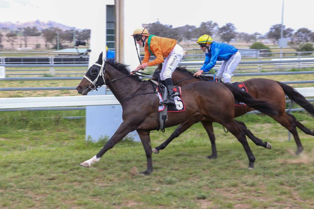SWEET SUCCESS: Jackson Searle pilots Ballast to victory in the Barraba Cup. Photo: Bradley Photographers 
