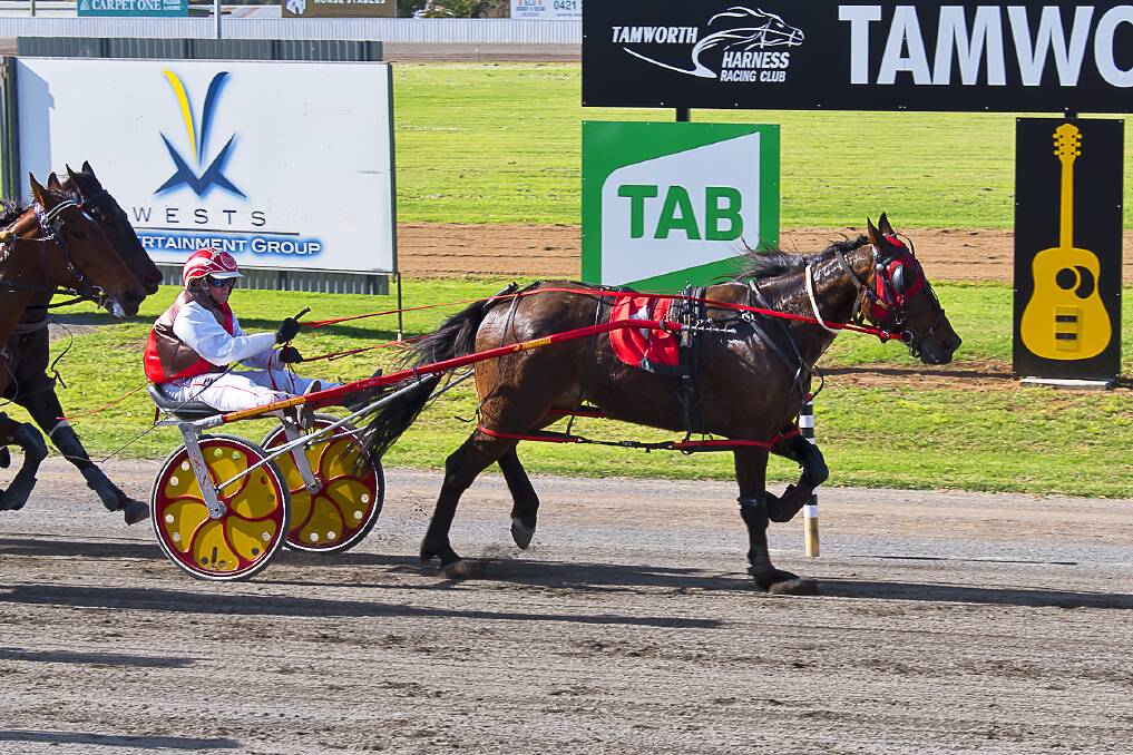 DOMINANT: Lutzys Dream, with Dean Chapple in the spider, wins at Tamworth. Photo: PeterMac Photography.