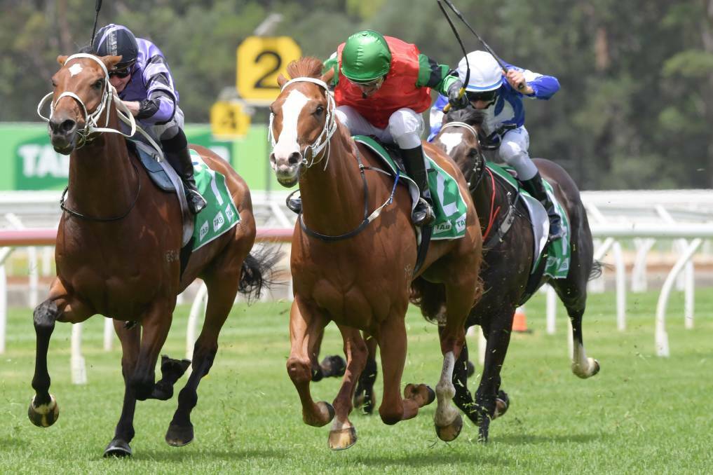 PUNTERS PICK: Moobi (right) is an early betting favourite for Sunday's Country Championships qualifier at Tamworth. AAP Image