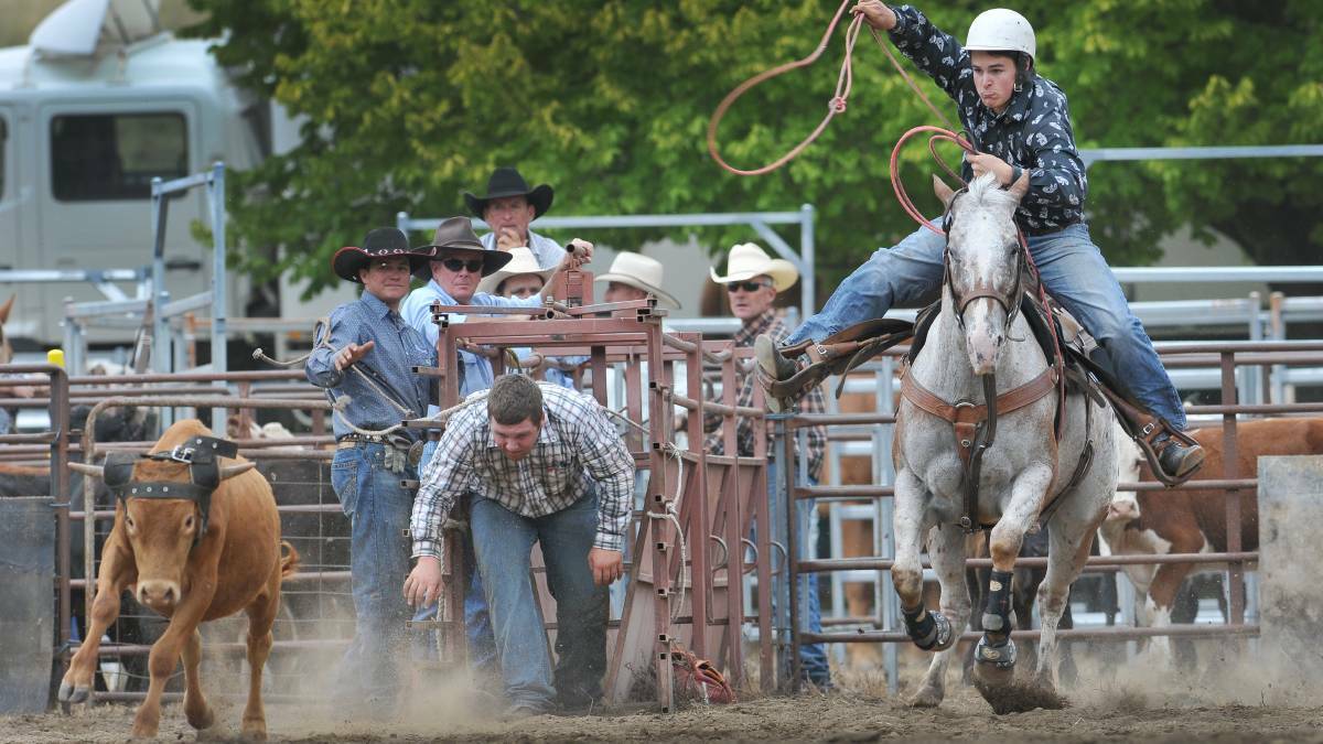 ACTION TIME: The Bendemeer Rodeo will be staged on Saturday. Photo: Gareth Gardner