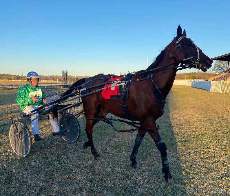 CLASS ACTS: Showem Simon and Jake Hughes after their win at Armidale on Sunday. Photo: Julie Maughan