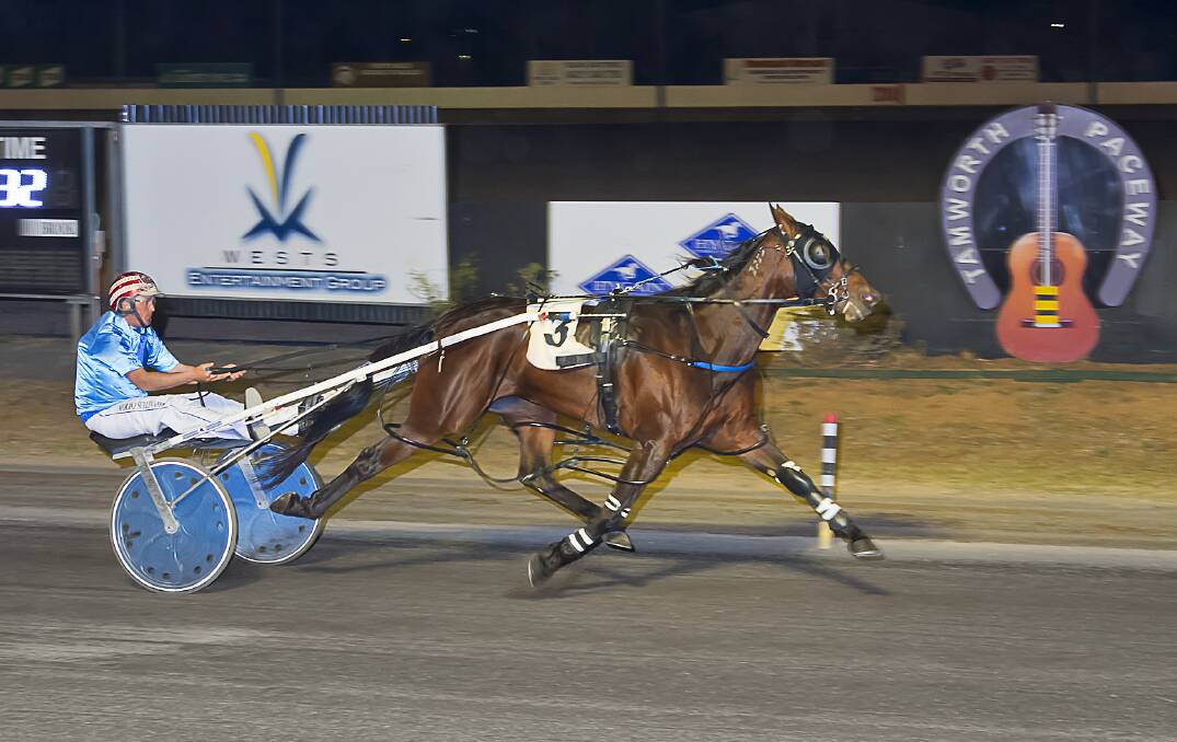 ATTACK FORCE: Murray Sullivan and Splash of Gold win at Tamworth on Saturday. Photo: PeterMac Photography