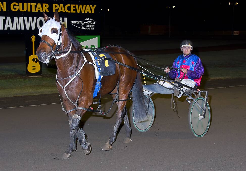 DOUBLE IMPACT: Believe In Heaven and Scotty-Jon Welsh return to scale after their Tamworth win. Photo: PeterMac Photography
