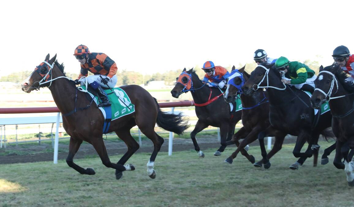 ON THE LOOSE: Clayton Gallagher pilots Free Billy to victory at Moree. Photo: Bradley Photographers