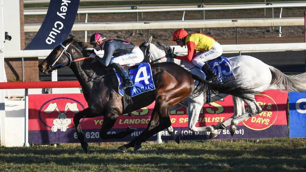EXCITING: For the first time in months, punters and owners will be allowed to attend Monday's TAB meeting at Tamworth. Photo: Gareth Gardner