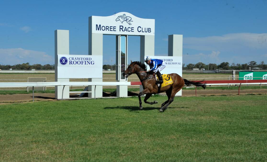 SPEED MACHINE: Josh Oliver pilots Four More Millers to a romping victory at Moree on Saturday. Photo: bradleyphotos.com.au