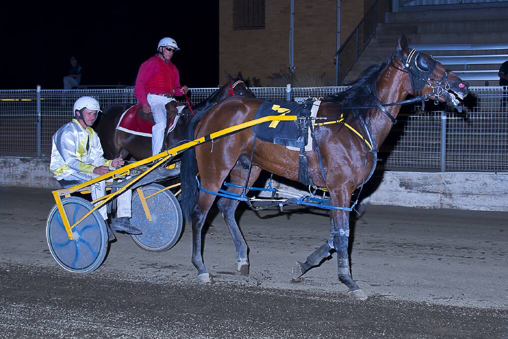DOUBLE THE DELIGHT: Anthony Varga and White Wash following their recent win at the Paceway. Photo: PeterMac Photography 