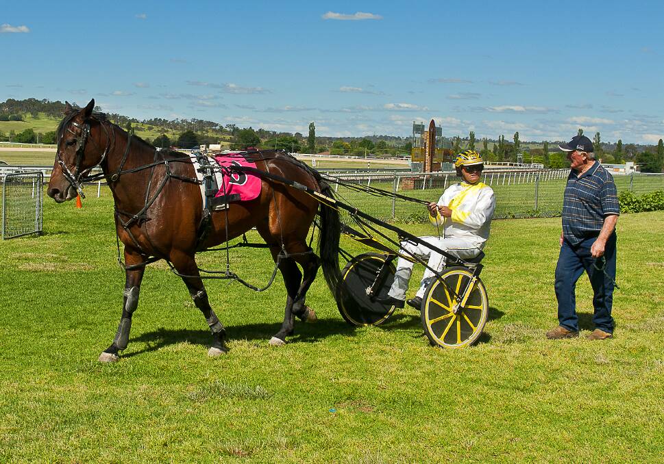 RED HOT: Hedges Avenue, trainer Ernie Mabbott (walking) and Mitch Faulkner. The in-form horse will be in action at Inverell on Sunday. Photo: Supplied