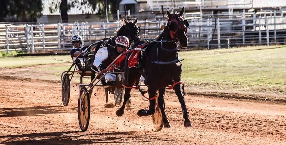 TOO GOOD: Asterism wins the second heat of the Santos Cup for Dean Chapple. Photo: Coffee Photography Dubbo