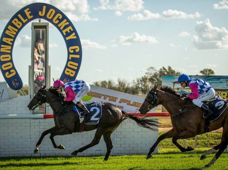 HOME: Sneak Preview wins the feature at Coonamble on Sunday. Photo: Racing Photography