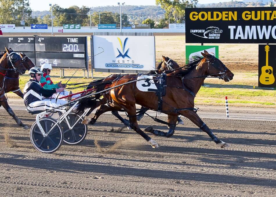 TAKE THAT: Go Joe secures his first win for the Shepherdson stables. Photo: PeterMac Photography 