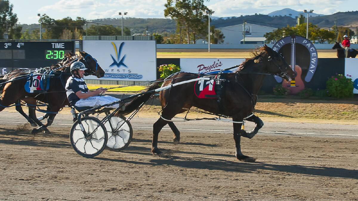 CLASSY: Narrabri pacer Kid Montana, with Chris Shepherdson in the gig, is set to be named horse of the year. Photo: