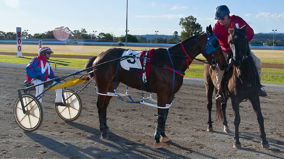 FORM GUIDE: Joey Tee and Dean Chapple after their all-the-way win last week at Tamworth. Photo: PeterMac Photography
