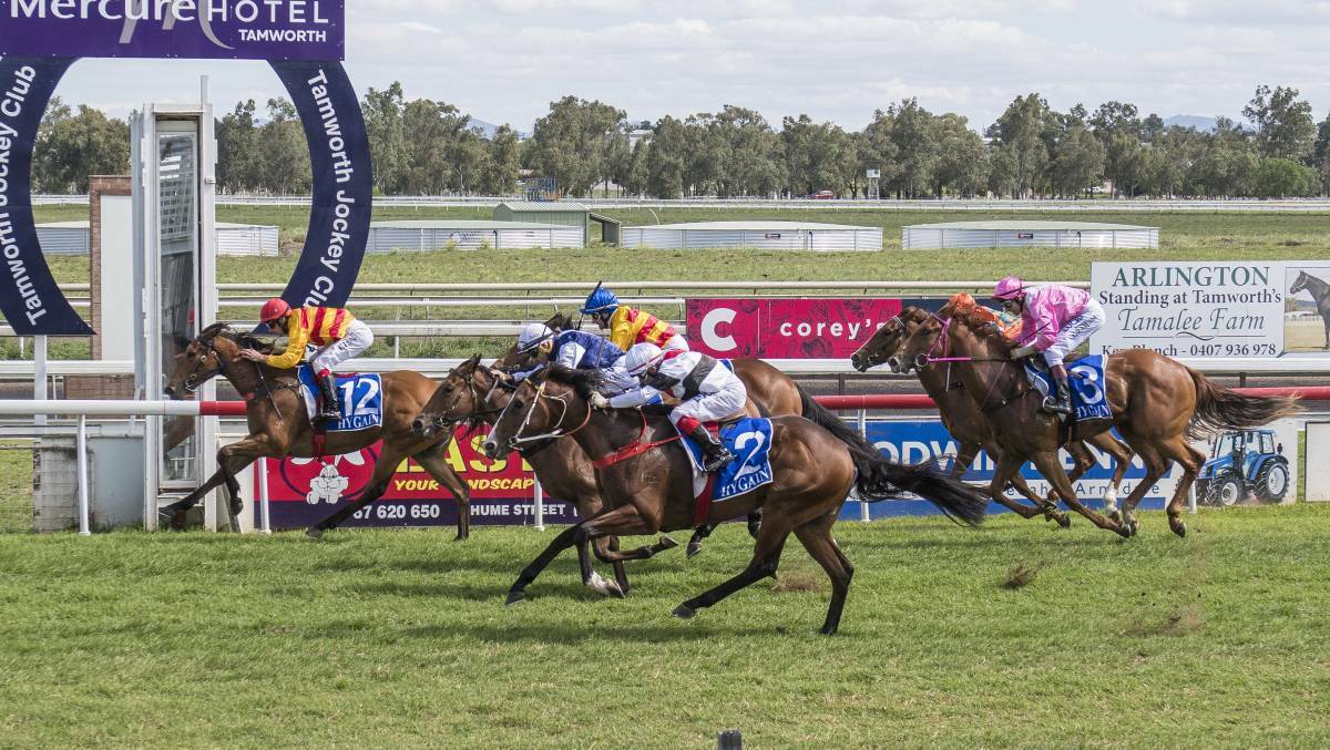 TOO GOOD: Taken On Chance claims the Hygain Romantic Dream 2YO Plate (1000m) at Tamworth Racecourse last year. Photo: Peter Hardin