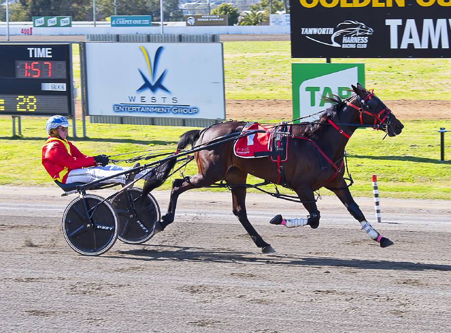 CLASSY: The Stuart Glasby-trained Redbank Olivia, driven by Blake Hughes, triumphs at Tamworth. Photo: PeterMac Photography