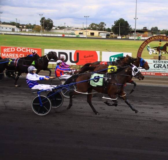 GALE FORCE: Karaoke Rock and Madi Young win at Dubbo on Sunday. Photo: Coffee Photography