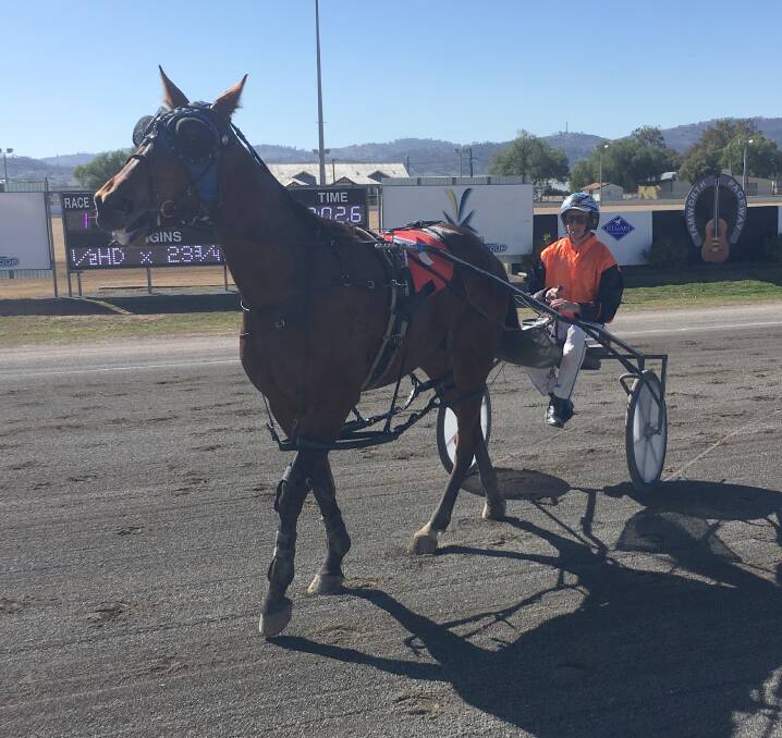 POWER COUPLE: Sunny Town and Dan Morgan after their win at Tamworth Paceway on Thursday. Photo: Supplied