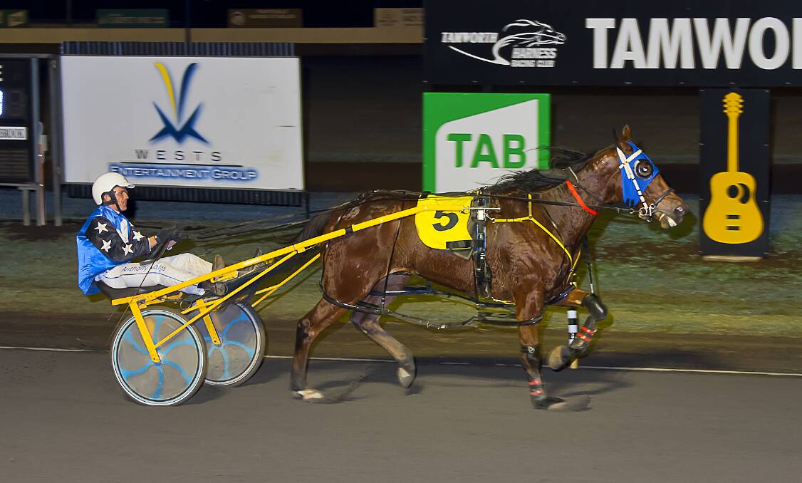 WINNING POST: Got The scoop and Anthony Varga triumph at Tamworth. Photo: PeterMac Photography