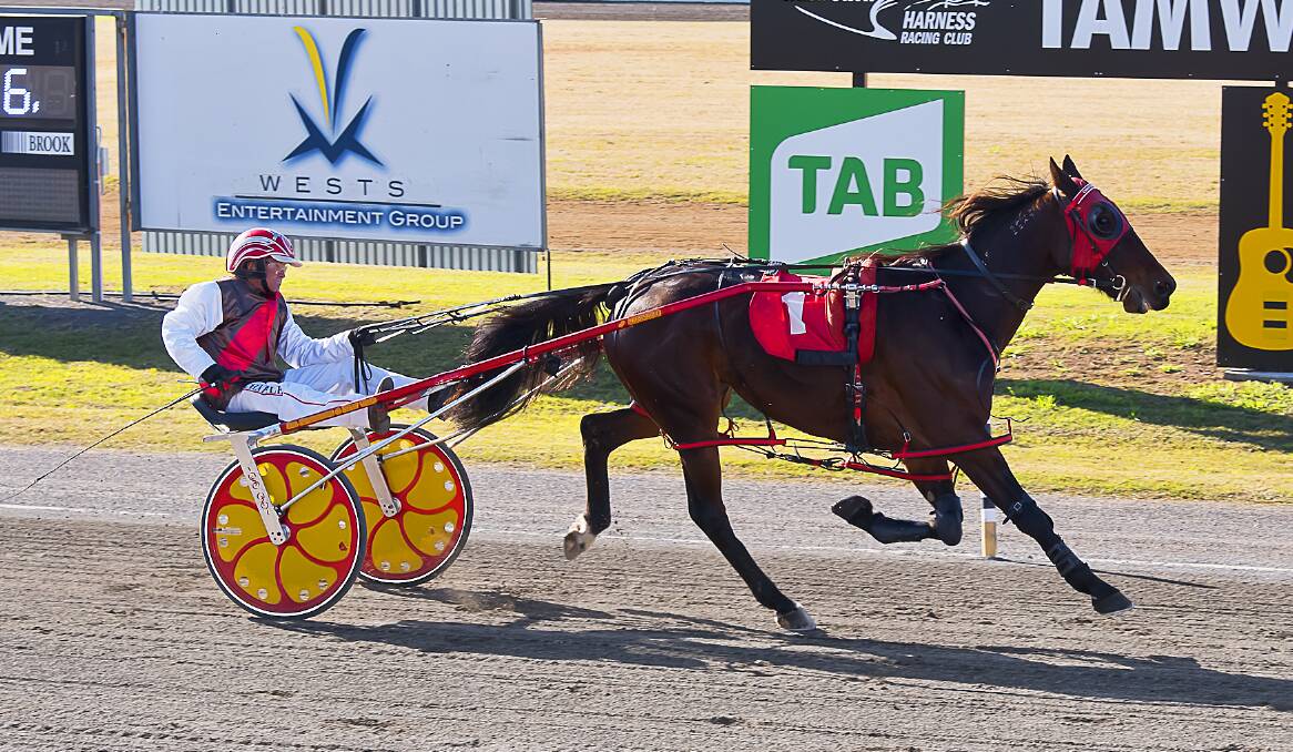 DAYLIGHT SECOND: Dean Chapple pilots Louthpark Xpresso to victory at Tamworth. Photo: PeterMac Photography