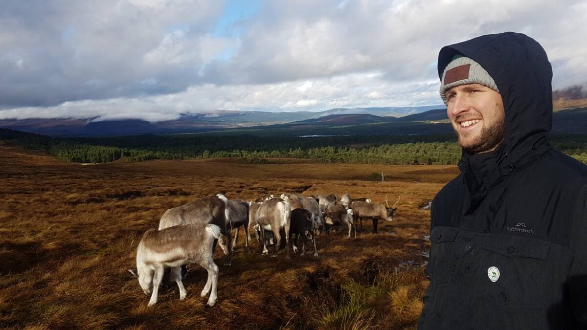 TRAVEL LOG: Kangaroos player-coach Ben Mitchell in Scotland with reindeers. Photo: Danielle Abbott.