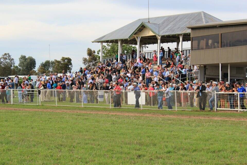 TICK-TOCK: The NSW Picnic Champion Series Final will be staged at Coonamble on Sunday. Photo: Coonamble Jockey Club