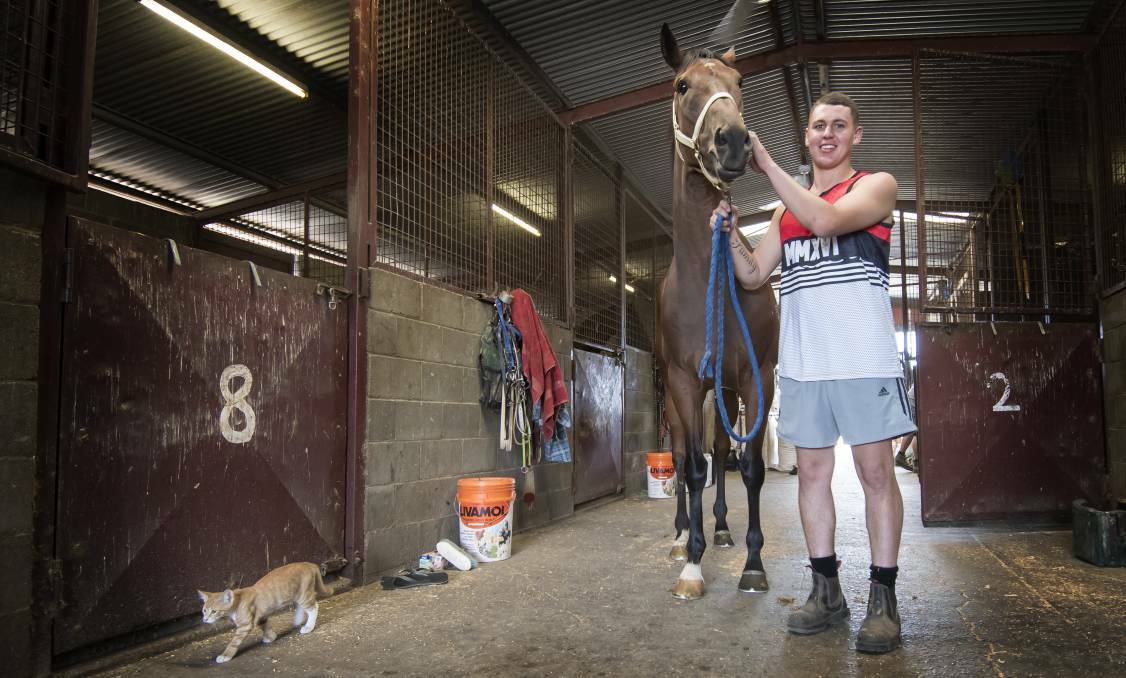 WINNING FORMULA: Zach Hatch, who shares a Tamworth stables with his father, Mark, has had success at Scone. Photo: Peter Hardin
