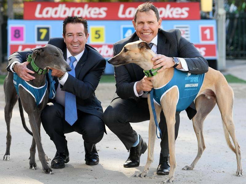 Million dollar baby: Minister for Racing Paul Toole and Greyhound Racing NSW chief executive Tony Mestrov. Photo: AAP