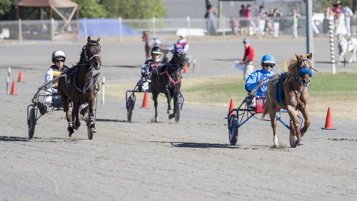 TAKE A BOW: The 130 competitors who took part in the NSW Mini Trotting Championships at Tamworth Paceway this weekend have been applauded for their sportsmanship. Photo: Peter Hardin 