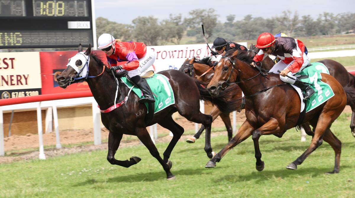 TOP WEIGHT TERRIFIC: Yvette Lewis steers Anubis to victory at Quirindi. Photo: Bradley Photographers