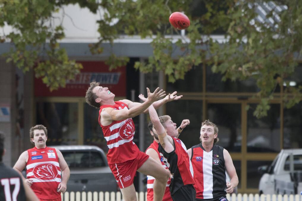HIGH-FLYER: The Swans' Liam Dunn has eyes only for the ball. Photo: Peter Hardin