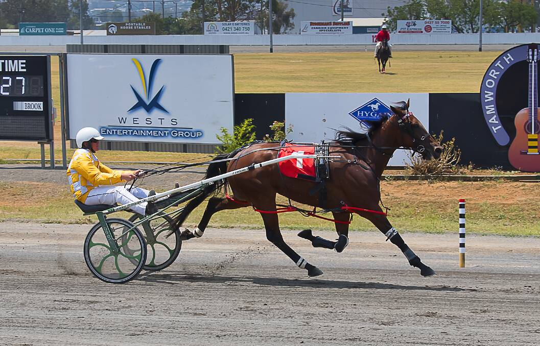 WILL TO WIN: Stacey Weidemann steers Seven Rippin Aces to victory at Tamworth last week. Photo: PeterMac Photography
