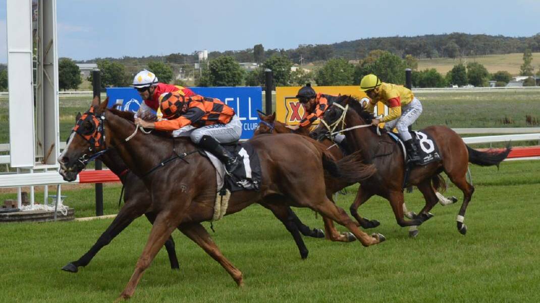Giddy up: The 2017 Inverell Cup is set to be "bigger than ever".