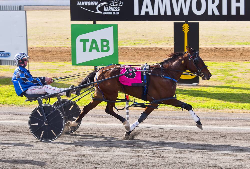 The Brendan James-trained Lady Pebble (Tom Ison) triumphs at Tamworth. Picture by PeterMac Photography
