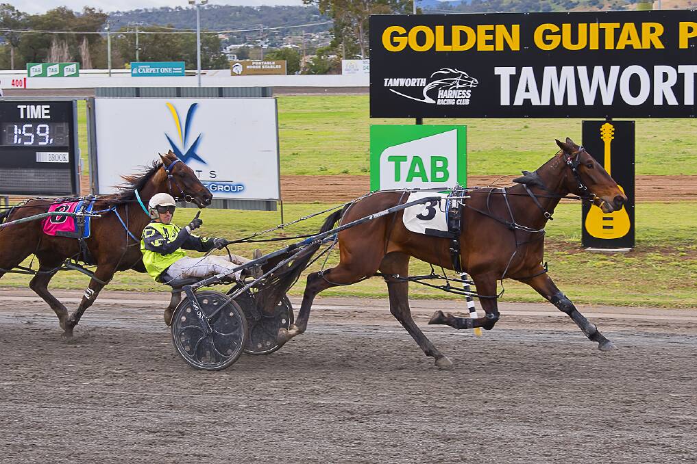 LOCAL HOPE: Mac Stubborn will be chasing success in the Tamworth feature on Thursday. Photo: PeterMac Photography
