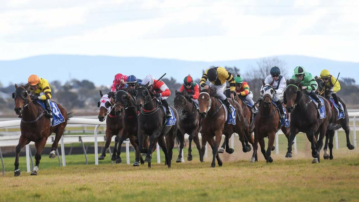 TOUGH: The drought-affected Tamworth Jockey Club has moved a trial to Muswellbrook.