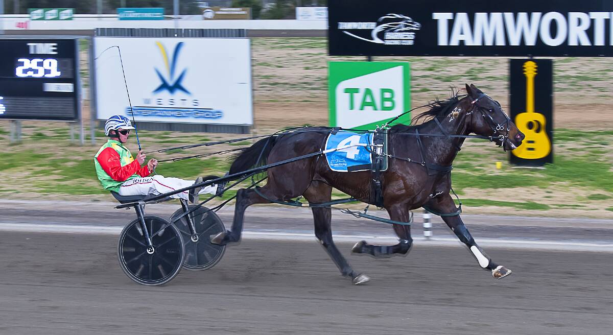 FRONT-RUNNER: Ison steers I'm Compliant to victory at Tamworth Paceway on Thursday. Photo: PeterMac Photography